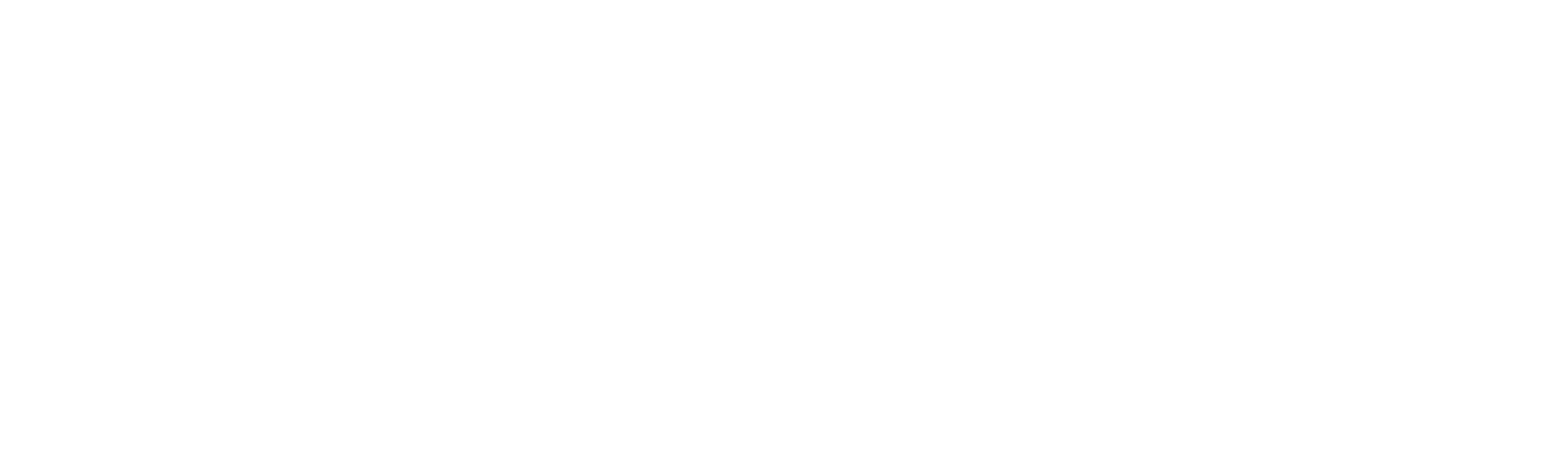 Spotify Logo Horizontal White